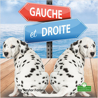 Gauche et droite (Left and Right) by Taylor Farley, Claire Savard, 9781427136459