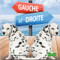 Gauche et droite (Left and Right) by Taylor Farley, Claire Savard, 9781427136459