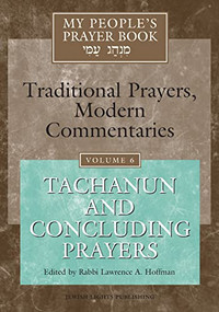 My People's Prayer Book Vol 6 (Tachanun and Concluding Prayers) - 9781879045842 by Rabbi Lawrence A. Hoffman, PhD, Dr. Marc Zvi Brettler, Elliot Dorff, Dr. David Ellenson, Ellen Frankel, LCSW, 9781879045842