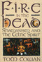 Fire in the Head (Shamanism and the Celtic Spirit) by Tom Cowan, 9780062501745