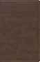 CSB Single-Column Compact Bible, Brown LeatherTouch by CSB Bibles by Holman, 9781087751351
