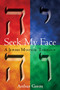 Seek My Face (A Jewish Mystical Theology) by Dr. Arthur Green, 9781683362838