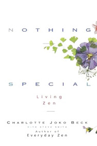 Nothing Special by Charlotte J. Beck, Steven A. Smith, 9780062511171