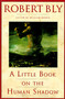 A Little Book on the Human Shadow by Robert Bly, 9780062548474