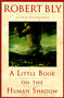 A Little Book on the Human Shadow by Robert Bly, 9780062548474
