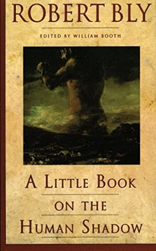A Little Book on the Human Shadow by Robert Bly, 9780062548474