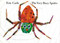The Very Busy Spider - 9780399211669 by Eric Carle, 9780399211669