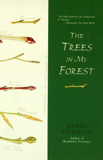 The Trees in My Forest by Bernd Heinrich, 9780060929428