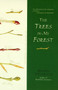 The Trees in My Forest by Bernd Heinrich, 9780060929428