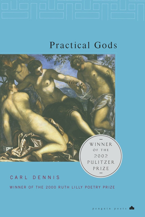 Practical Gods by Carl Dennis, 9780141002309