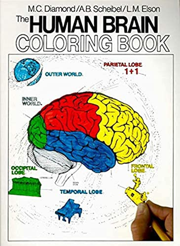 The Human Brain Coloring Book (A Coloring Book) by Marian C. Diamond, Arnold B. Scheibel, 9780064603065