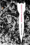 Gravity's Rainbow (Classics Deluxe Edition) ((Penguin Classics Deluxe Edition)) by Thomas Pynchon, Frank Miller, 9780143039945