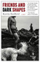 Friends and Dark Shapes by Kavita Bedford, 9781609456641