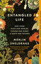 Entangled Life (How Fungi Make Our Worlds, Change Our Minds & Shape Our Futures) - 9780525510321 by Merlin Sheldrake, 9780525510321