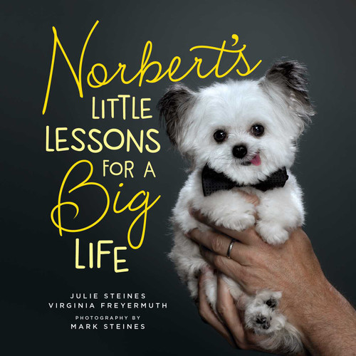 Norbert's Little Lessons for a Big Life by Julie Steines, Virginia Freyermuth, Mark Steines, 9781982149635