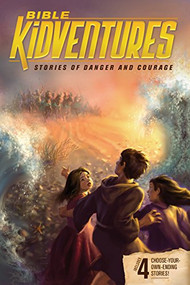Bible KidVentures Stories of Danger and Courage by Sheila Seifert, Jeanne Dennis, 9781589978652