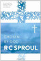 Chosen by God by R. C. Sproul, 9780842313353
