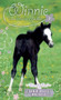 Friendly Foal by Dandi Daley Mackall, 9780842387231