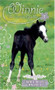 Friendly Foal by Dandi Daley Mackall, 9780842387231