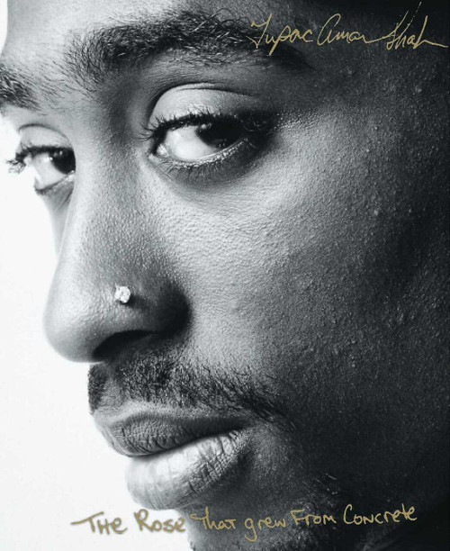 The Rose That Grew From Concrete - 9780671028459 by Tupac Shakur, 9780671028459