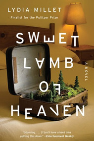 Sweet Lamb of Heaven (A Novel) - 9780393354188 by Lydia Millet, 9780393354188