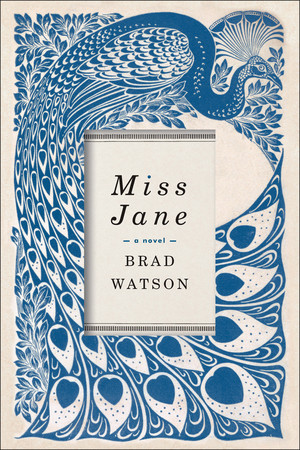 Miss Jane (A Novel) by Brad Watson, 9780393354386