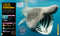 Super Shark Encyclopedia (And Other Creatures of the Deep) by DK, 9781465435842