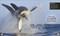 Super Shark Encyclopedia (And Other Creatures of the Deep) by DK, 9781465435842