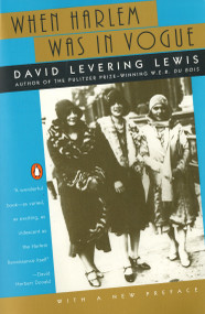 When Harlem Was in Vogue by David Levering Lewis, 9780140263343