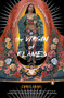 The Virgin of Flames (A Novel) by Chris Abani, 9780143038771