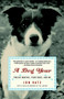 A Dog Year (Twelve Months, Four Dogs, and Me) by Jon Katz, 9780812966909