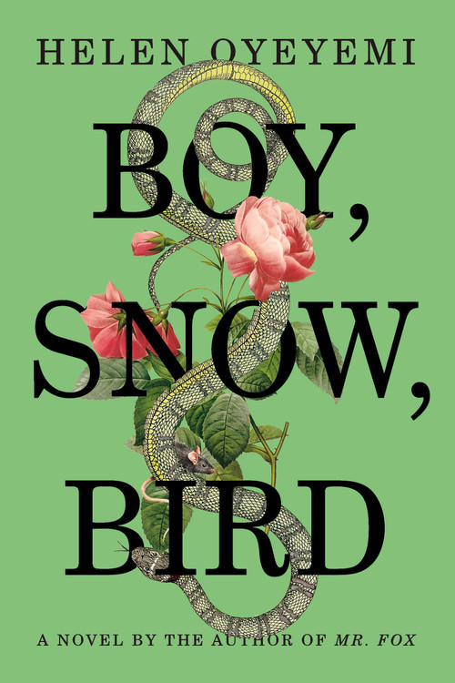 Boy, Snow, Bird (A Novel) by Helen Oyeyemi, 9781594631399