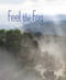 Feel the Fog by April Pulley Sayre, April Pulley Sayre, 9781534437609