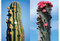 Xerophile, Revised Edition (Cactus Photographs from Expeditions of the Obsessed) by Cactus Store, 9781984859341