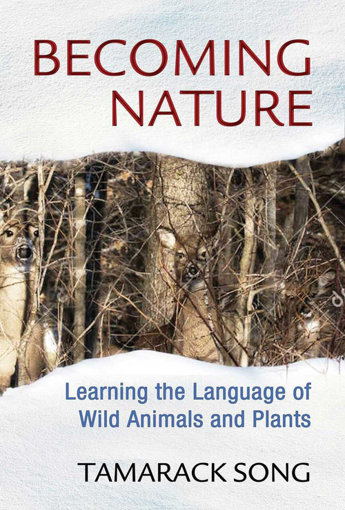 Becoming Nature (Learning the Language of Wild Animals and Plants) by Tamarack Song, 9781591432111