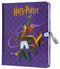 Harry Potter: Quidditch Lock & Key Diary by Insight Editions, 9781647222819