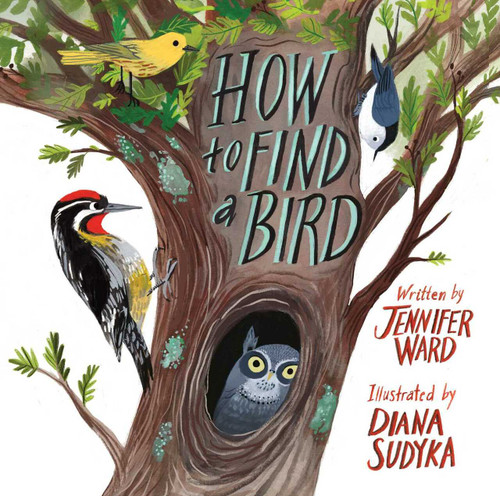 How to Find a Bird by Jennifer Ward, Diana Sudyka, 9781481467056