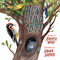 How to Find a Bird by Jennifer Ward, Diana Sudyka, 9781481467056