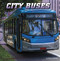 City Buses by Nancy Dickmann, 9781977133267