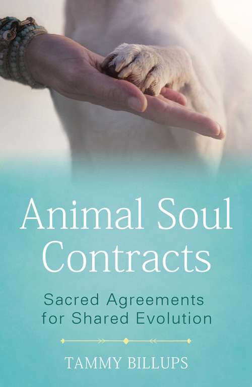 Animal Soul Contracts (Sacred Agreements for Shared Evolution) by Tammy Billups, 9781591433644