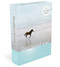 The Untethered Soul (A 52-Card Deck) (Miniature Edition) by Michael A. Singer, 9781684034314