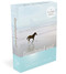 The Untethered Soul (A 52-Card Deck) by Michael A. Singer, 9781684034314