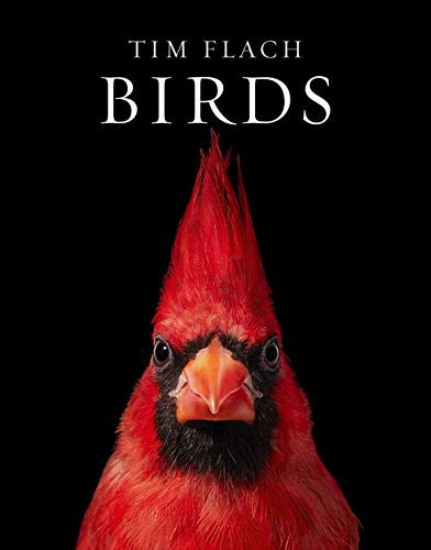 Birds - 9781419747618 by Tim Flach, Richard O. Prum, 9781419747618