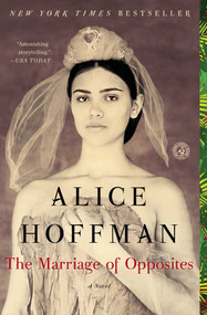 The Marriage of Opposites by Alice Hoffman, 9781451693607