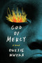 God of Mercy (A Novel) by Okezie Nwoka, 9781662600838
