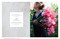 Floret Farm's Cut Flower Garden: Sweet Pea Notes (20 Notecards & Envelopes (Gifts for Floral Designers, Floral Thank You Cards, Floral Note Cards)) (Miniature Edition) by Erin Benzakein, Chris Benzakein, 9781452173016