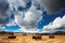 Ian Shive: The National Parks Blank Boxed Notecards by Ian Shive, 9781608879571
