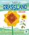 Easy Grassland Origami by Jennifer Sanderson, 9781636910802