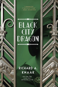 Black City Dragon by Richard A. Knaak, 9781633884946