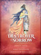 Destroyer of Sorrow (An Illustrated Series Based on the Ramayana) by Vrinda Sheth, 9781647221478
